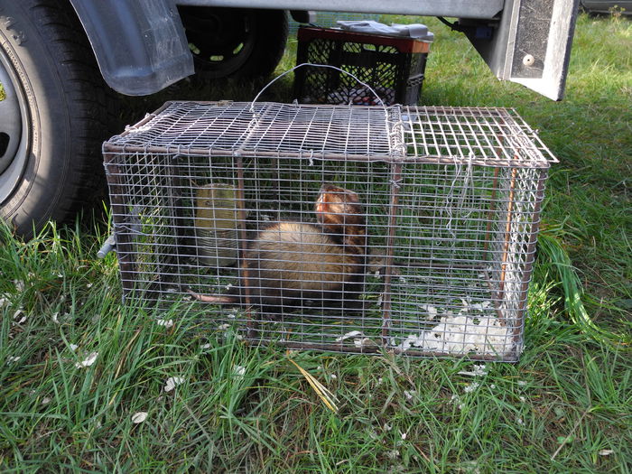 DSCN6211 - Monor 12-10-2014