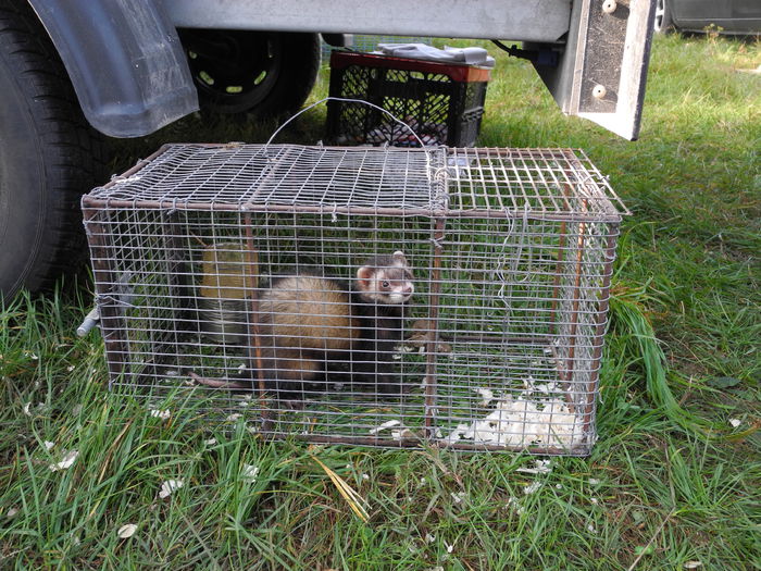 DSCN6212 - Monor 12-10-2014