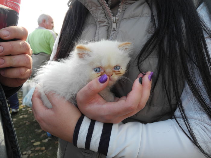 DSCN6242 - Monor 12-10-2014