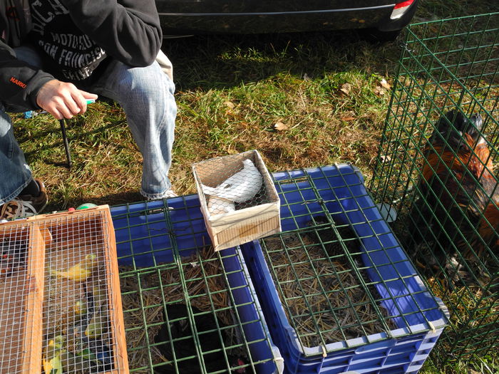 DSCN6260 - Monor 12-10-2014