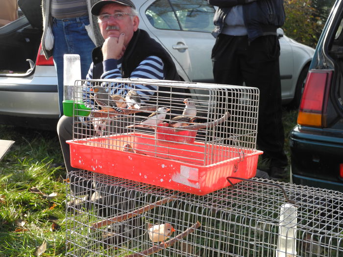 DSCN6299 - Monor 12-10-2014