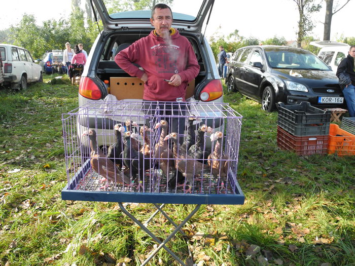 DSCN6318 - Monor 12-10-2014