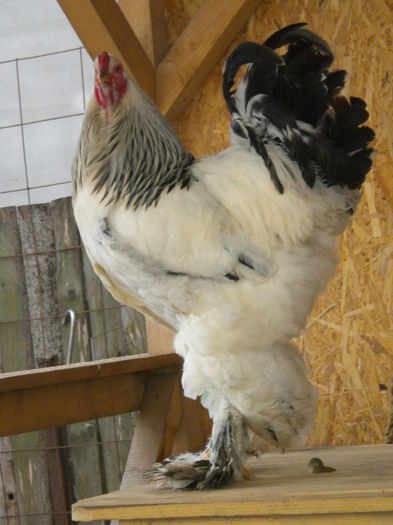 DSCN8172 - v arhivaLot HD-2015