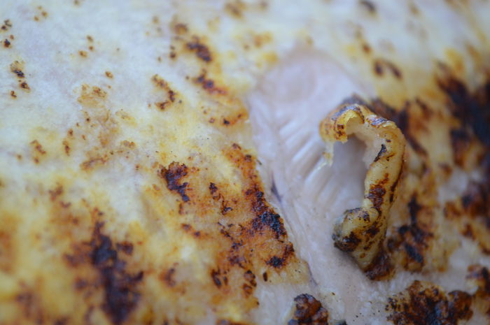 DSC_0996; http://www.gospodarie.net
0731436414
