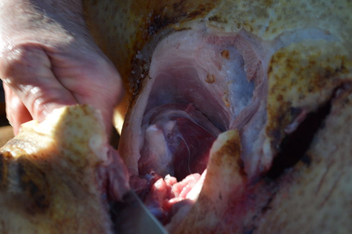 DSC_1027; http://www.gospodarie.net
0731436414
