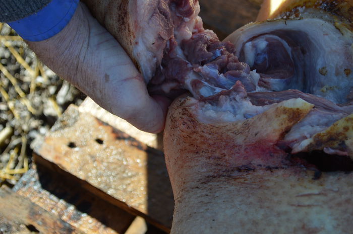 DSC_1028; http://www.gospodarie.net
0731436414
