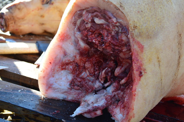 DSC_1043; http://www.gospodarie.net
0731436414
