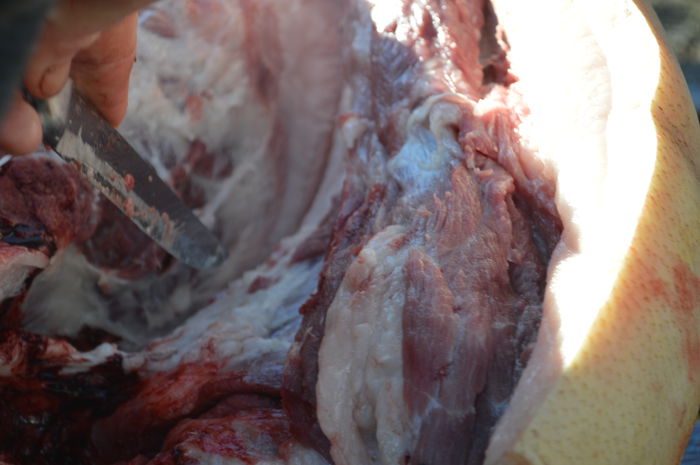 DSC_1049; http://www.gospodarie.net
0731436414
