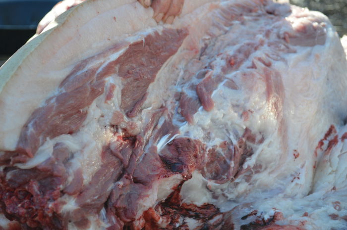 DSC_1051; http://www.gospodarie.net
0731436414
