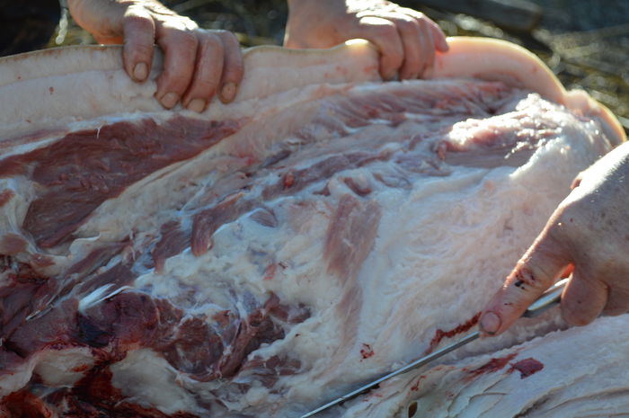 DSC_1055; http://www.gospodarie.net
0731436414
