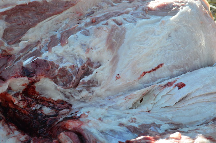 DSC_1056; http://www.gospodarie.net
0731436414
