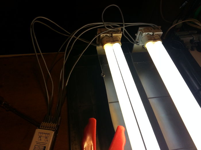 20150102_151748; asa ca prima data montam
