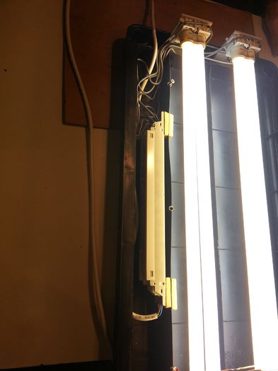 20150102_164921; lumini
