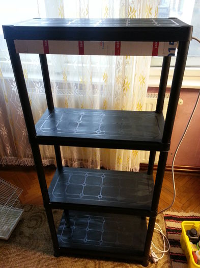 20150103_113148; in picioare
