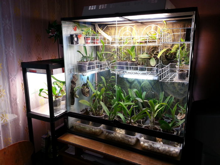 20150103_122614; locul ei
