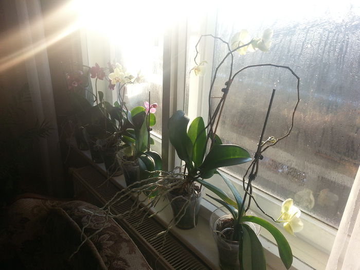 20141230_092710