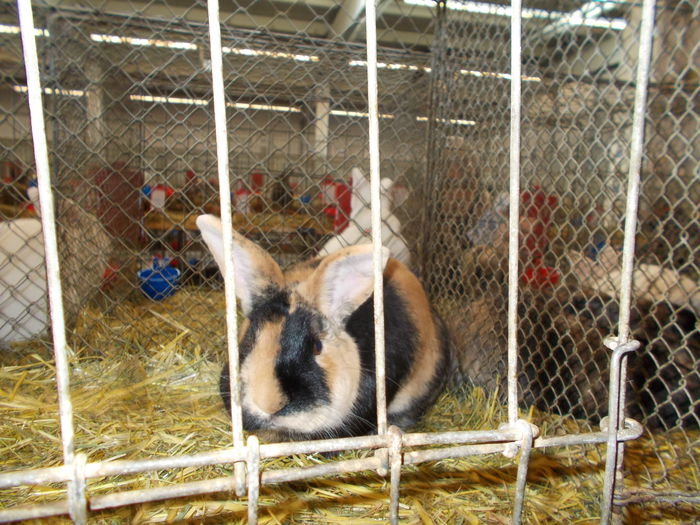 DSCN0300