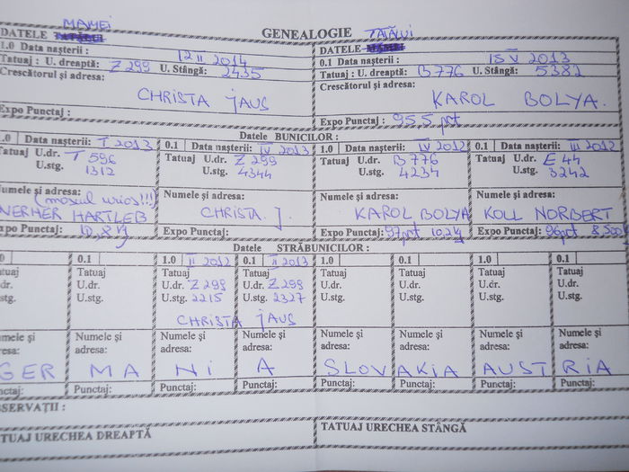 Ro 192 LG114(F1) - TINERET 2015