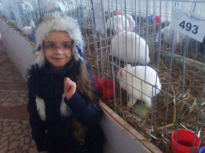 Picture 116 - Expo-Plesuva-Campina 2015