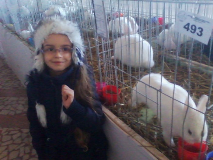 Picture 118 - Expo-Plesuva-Campina 2015