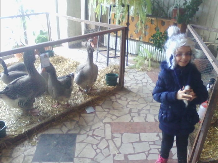 Picture 120 - Expo-Plesuva-Campina 2015