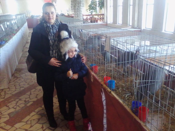 Picture 122 - Expo-Plesuva-Campina 2015