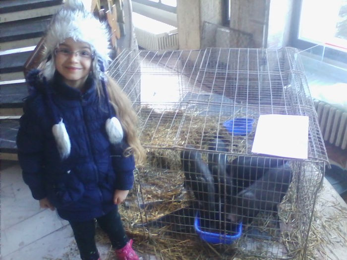 Picture 131 - Expo-Plesuva-Campina 2015