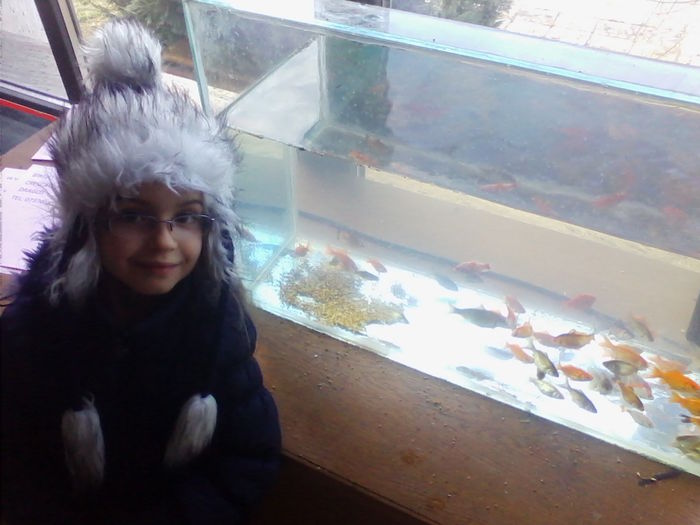 Picture 133 - Expo-Plesuva-Campina 2015