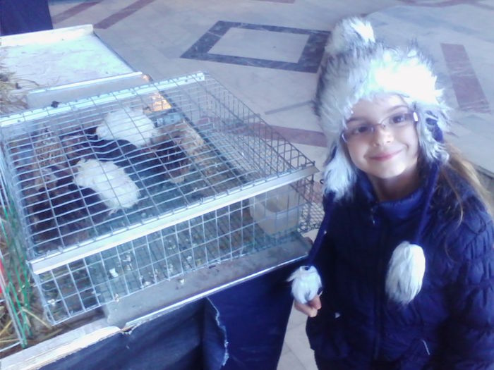 Picture 137 - Expo-Plesuva-Campina 2015