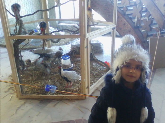 Picture 147 - Expo-Plesuva-Campina 2015