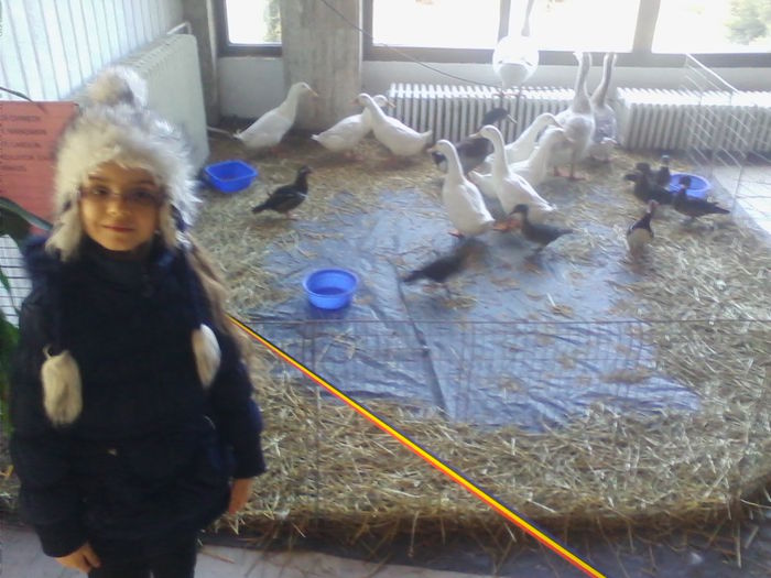 Picture 150 - Expo-Plesuva-Campina 2015