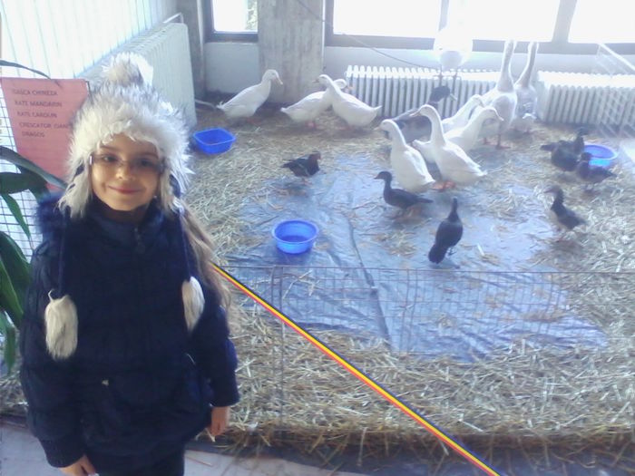 Picture 151 - Expo-Plesuva-Campina 2015