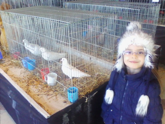 Picture 153 - Expo-Plesuva-Campina 2015