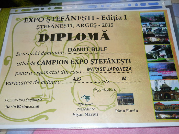 EXPO STEFANESTI