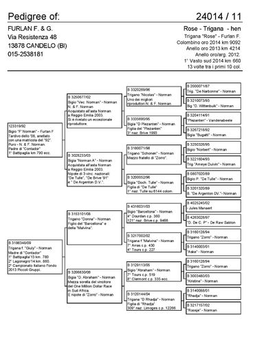 24014-page-001 (1) - pedigrii  reproducatori