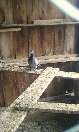 10965387_781697658575551_213171096_n