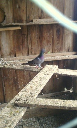 10965703_781697635242220_1306055619_n