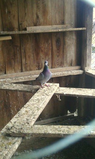 10966627_781697728575544_544921362_n