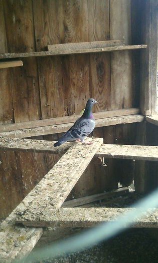 10967675_781697748575542_1651810579_n