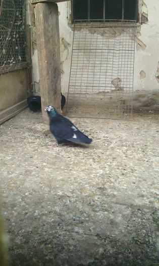 10962089_781697065242277_1198698419_n