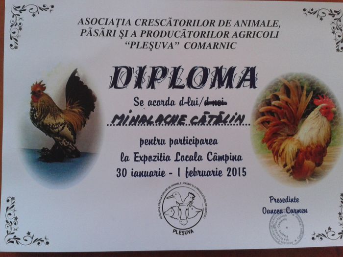 20150202_124056 - Expozitie Campina 29 ian - 01 febr 2015