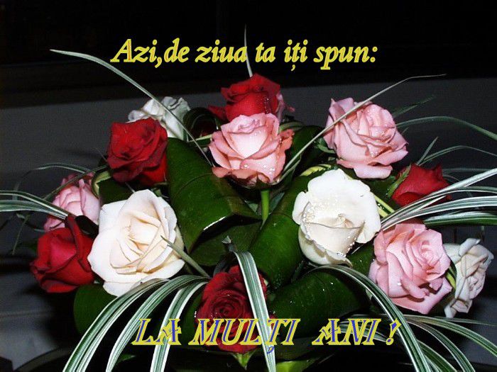 La multi ani ! - Felicitari pentru diverse zile