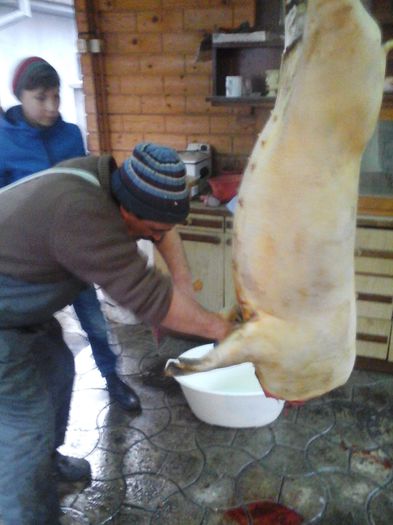 DIN NEGRU AM FACUT ALB