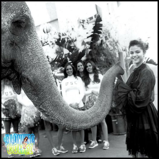 |▼| 2oo day - o2.o2.2o15 Ieiiii!!! Am ajuns la 200 de zile. Dar nu ma las :)) :* :*