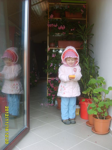 am pus florile la iernat