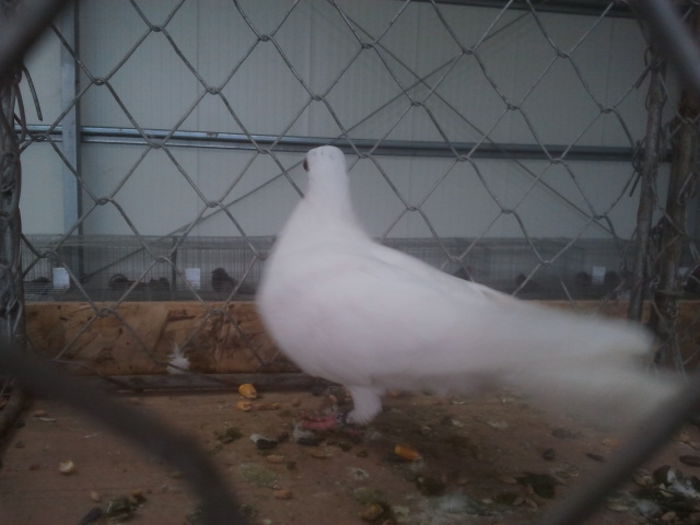 2015-02-01 10.53.12