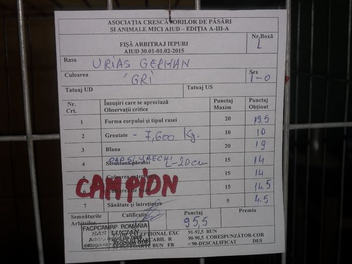 Fisa de arbitrare a campionulului, arbitrat de arbitrul national Sas  Lucian