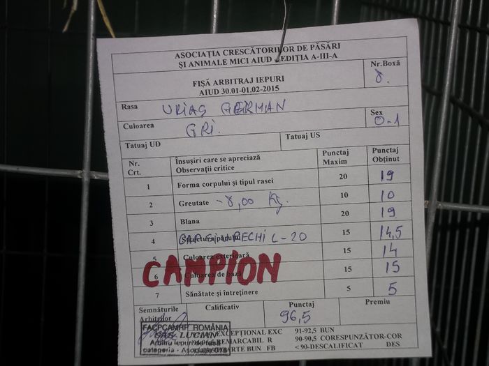 Fisa de arbitrare a campioanei mele, 96,5 pct.