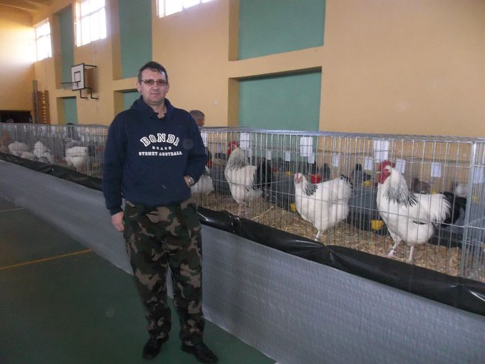 Luca Ioan crescator de gaini rasa Susex