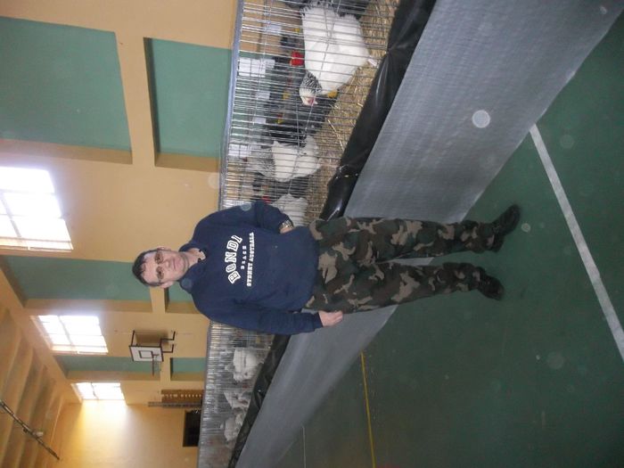 Luca Ioan crescator de gaini rasa Susex